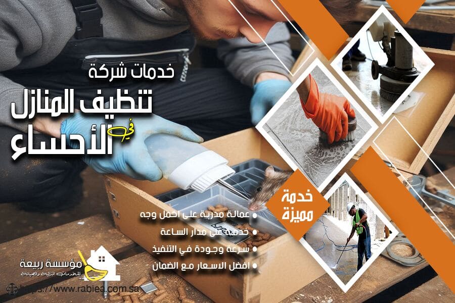 افضل شركة لمكافحة الفئران والقوارض بالاحساء