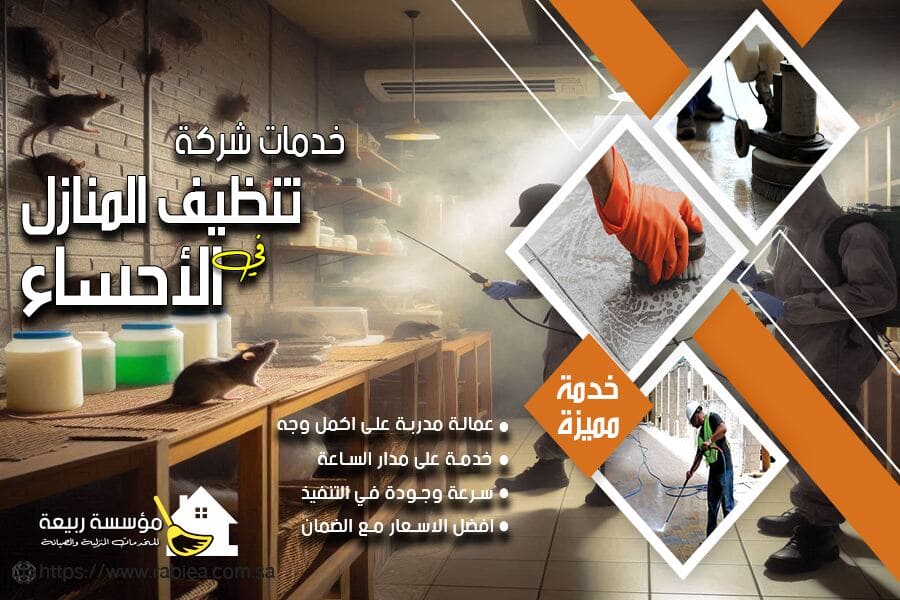 شركة ابادة الفئران بالاحساء