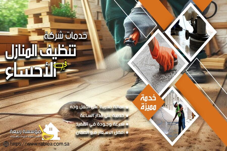 شركة رش الفئران بالاحساء