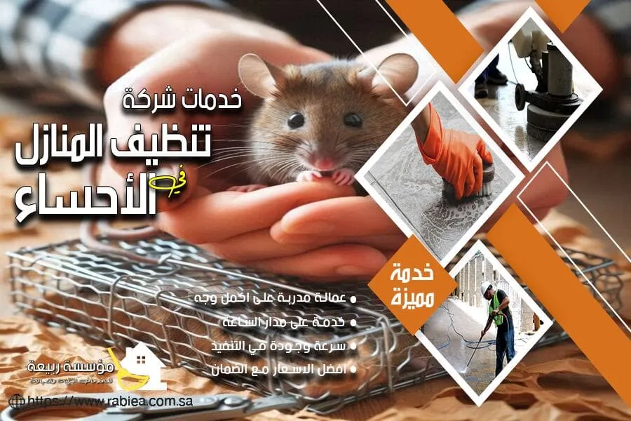 شركة مكافحة الفئران بالاحساء