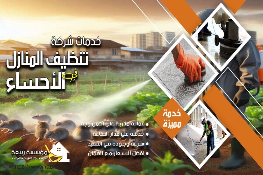 شركة مكافحة الفئران بالاحساء