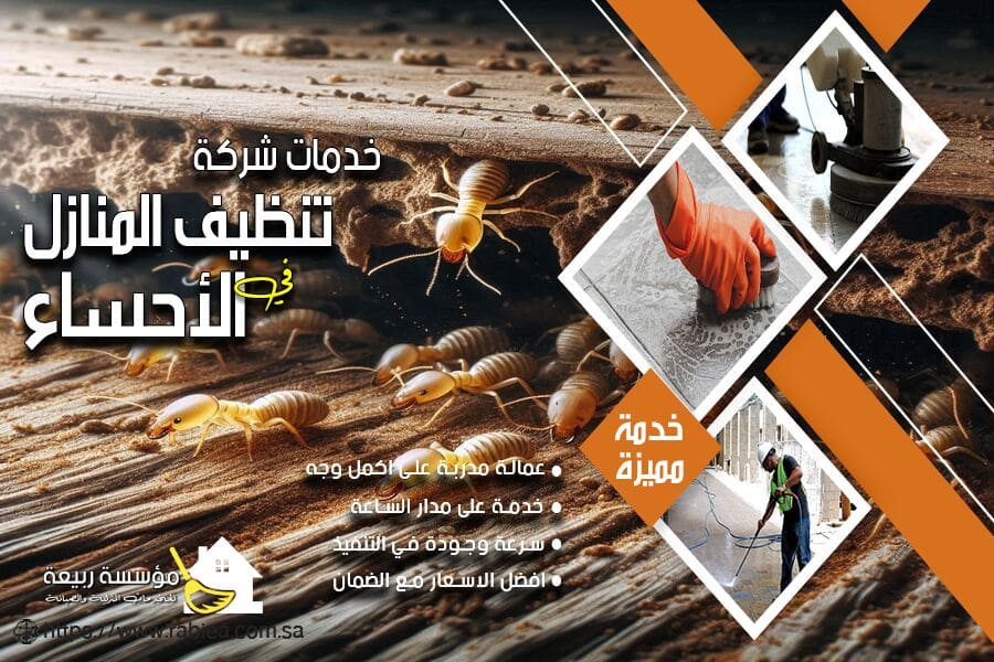شركة مكافحة النمل الابيض في الاحساء