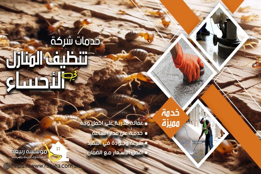 شركة مكافحة النمل الابيض بالاحساء