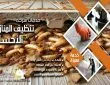 شركة مكافحة النمل الابيض بالاحساء