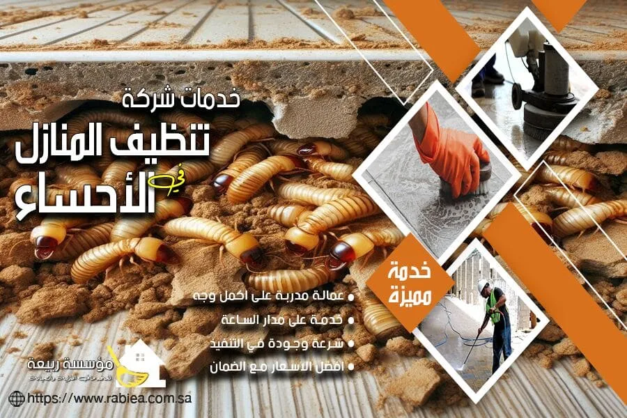شركة مكافحة النمل الابيض بالاحساء